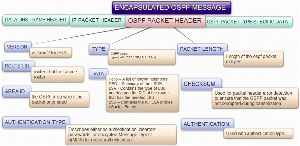 ospf-packet-header-2
