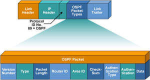 ospf_packet